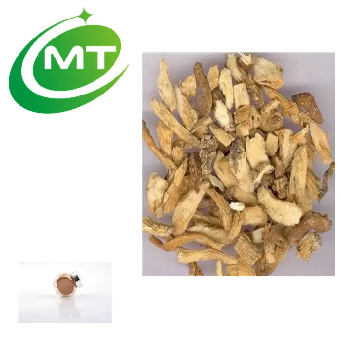 Chinese herb Hot Grosir 1% Angelica Ekstrak ligustilides (Dong Quai Ekstrak)