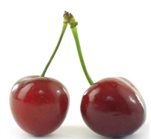 100% Alami Acerola Cherry Ekstrak 5% Proanthocyanidins Produsen