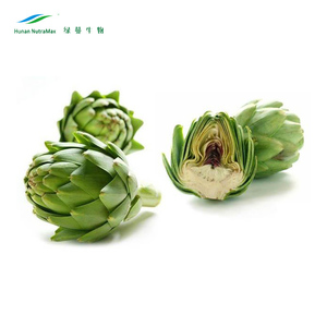 Bột Atisô Khô Thực Phẩm Sức Khỏe Giá Xuất Xưởng Chiết Xuất Axit Chlorogenic 5% - Product Image 3