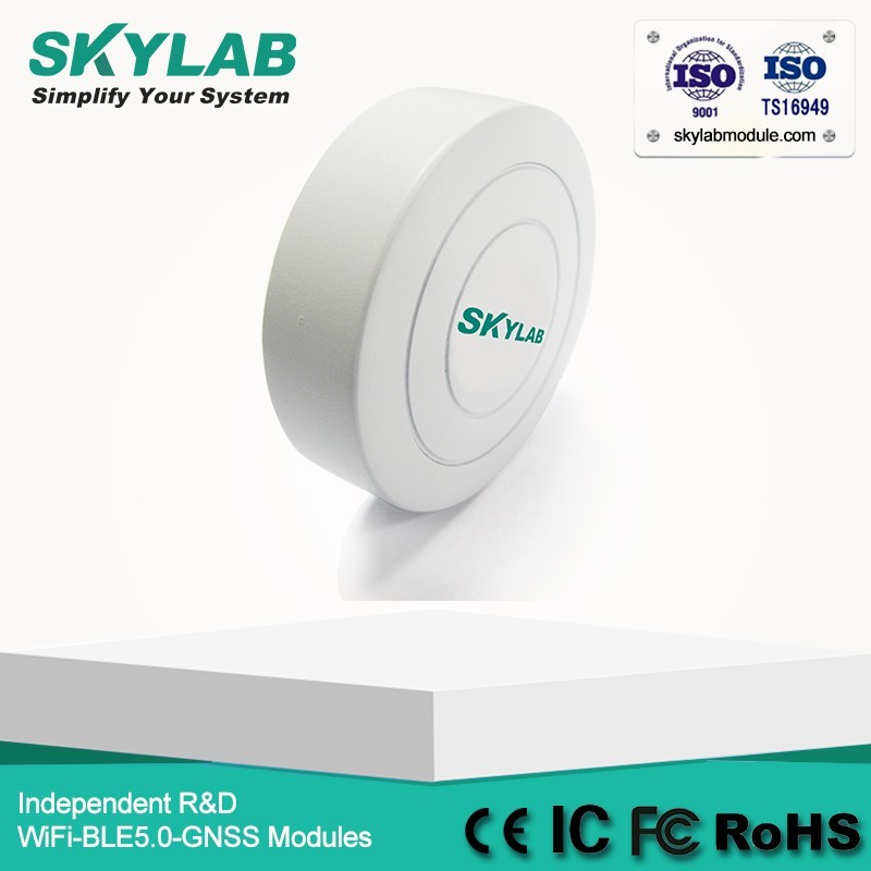 SKYLAB Faible Coût VG01 Programmable UUID/Grands/Mineur nRF51822 Petit Bluetooth Balise Récepteur