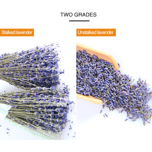 Ramo <span class=keywords><strong>de</strong></span> Lavanda Seca para Decoración, <span class=keywords><strong>Flores</strong></span> Secas <span class=keywords><strong>de</strong></span> Lavanda, Ramo <span class=keywords><strong>de</strong></span> Lavanda Natural Decorativo - Product Image 3