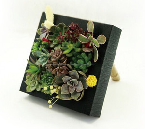 Hot Flores Artificiales Decorativas de Pared Pared de Césped Artificial Seto Artificial - Product Image 5
