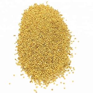 Factory Supply Parel Gierst Spuiten Rode Gierst Hoge Kwaliteit - Product Image 1