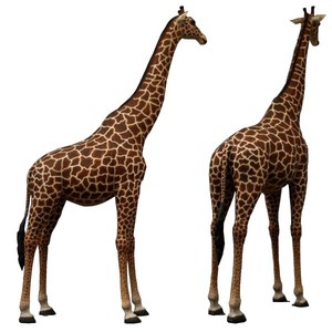 Animales al aire libre tamaño natural de fibra de vidrio estatua de jirafa para la venta - Product Image 1