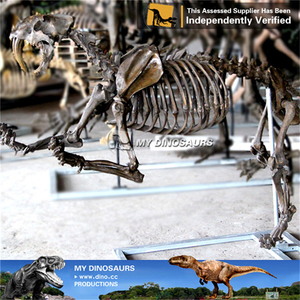 Squelette d'animal de l'ère glaciaire préhistorique, squelette de Smilodon - Product Image 5