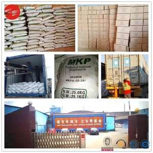 Phân Bón Phức Tạp Tan Trong Nước MKP 0-52-34 Mono Kali Phosphate - Product Image 6