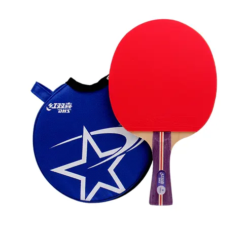 Дешевые DHS 1002 1006 накладки резиновые 1 комплект для строительства модели звездного ракетка для пинг-понга ракетка для игры в настольный теннис весло