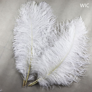 Pluma de avestruz de 55-60cm, Plume blanco de importación para boda, Carnaval, decoración, calidad prémium, venta al por mayor - Product Image 5