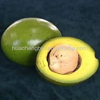 100% natrual 10:1 20:1 avocado extract powder avocado extract