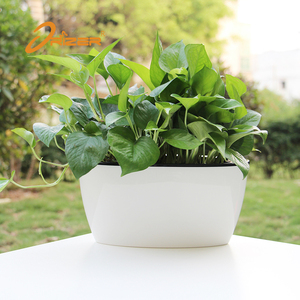 Surtidor de la fábrica muestra libre auto riego forma oval tamaño grande al aire libre plantadores macetas jardín - Product Image 4