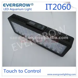 Evergrow IT2060 24英寸 120 w 日出和日落触摸屏坡道 led 水族馆