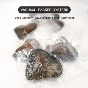 Cadeau surprise de fête, perles ovales de <span class=keywords><strong>culture</strong></span> d'eau douce de 6-7 mm, coquille d'huître - Product Image 3