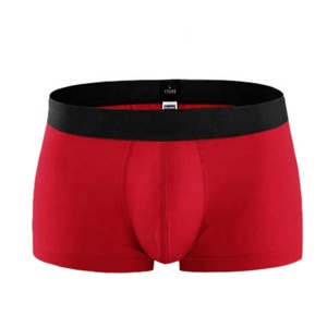 Sous-vêtements pour hommes avec logo personnalisé, boxers pour hommes en stock, taille élastique, taille mi-haute, caleçons pour hommes - Product Image 2