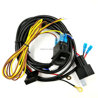 12 V 30A ממסר לרתום תיל מתג עם אורות ערפל המכונית ונתיך