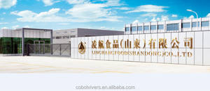 Ramen <span class=keywords><strong>de</strong></span> nouilles instantanées, tasse d'usine alimentaire professionnelle - Product Image 6