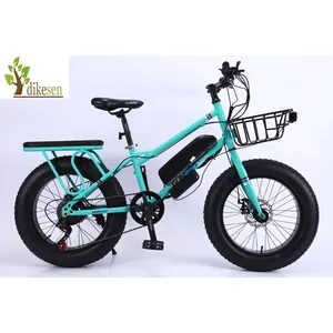 DIKESEN 电动自行车成人彩色电动自行车漂亮的设计电动自行车为女孩