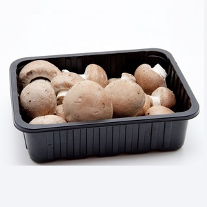 Custom convenient food grade vegetable plastic mushroom packaging tray