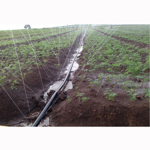 Tubo Spray PE per Irrigazione a Microirrigazione - Product Image 3