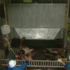 250 cabezas de ganado hora Halal de procesamiento de carne humana carne de <span class=keywords><strong>matadero</strong></span> - Product Image 4