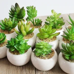 LMDArtificial Succulent Plants Green Unpotted Faux Flower Succulents Mini Echeveria Picks Bulk Stems for Home Indoor Decoration