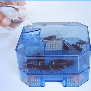 Kunststoff Kakerlaken haus Pest Anti Kakerlaken kontrolle Kakerlaken fänger falle