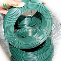 Fil d'acier à faible teneur en carbone galvanisé, revêtement PVC, haute résistance à la traction 350-550N/mm, certifié ISO9001/CE pour cintre de jardin