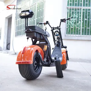 STROLLWHEEL X10 modelo scooter eléctrico 1000w citycoco 60v 12ah con certificado CE