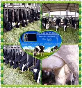 DAWEI DW-VET6 Vache bovins ferme Paume Vétérinaire À Ultrasons avec sonde rectale pour système reproducteur grossesse - Product Image 4