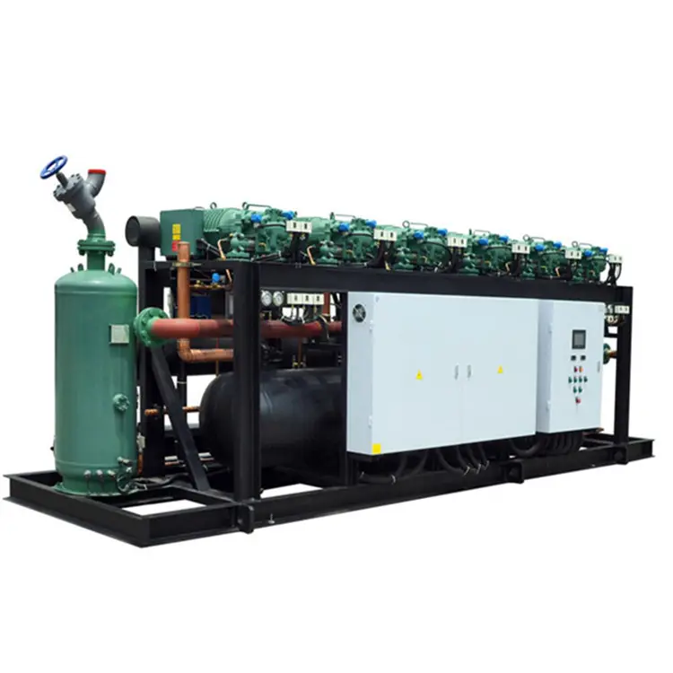 In Paralle Condensing Unit Multi Compressor Refrigeration System for Cold Room