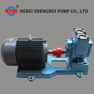 Hengbiao YHCB Série Grand <span class=keywords><strong>Sortie</strong></span> Haute Vie Tête Petite Taille électrique vitesse yhcb pompe - Product Image 6