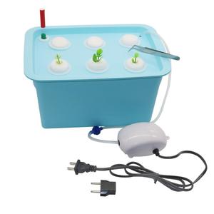 Boîte hydroponique 220V/110V pour la culture à domicile sans terre, 6 trous, pépinière, boîte de culture pour <span class=keywords><strong>semis</strong></span>, 4 couleurs - Product Image 6