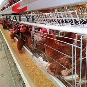 Sıcak satış ikinci el tabaka kümes hayvanları kafesleri - Product Image 6