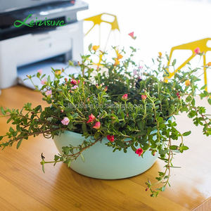 Décoration de jardin similaire comme <span class=keywords><strong>Lechuza</strong></span> meubles de jardin en plein air jardinage fleur ronde boîte - Product Image 1