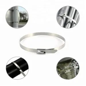 304 316 Stainless Steel Air Conditioning Indoor Playground Bolt Type Custom Logocable Wire Zip Tie