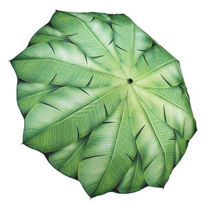 Parapluie droit semi-automatique à motifs de feuilles de palmier pour femme, design classique, manche en plastique, polyester - Product Image 1