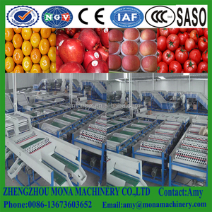 Máquina Profesional para Clasificar Cítricos | Máquina de Encerado para Cítricos y Manzanas | Máquina para Levantar, Limpiar y Secar Frutas - Product Image 6