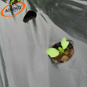 30-100 Micron <strong>Black</strong> <strong>Polythene</strong> <strong>Sheet</strong> Agricultural Mulching Film 1-4m Greenhouse Compost Ground Cover - Product Image 2