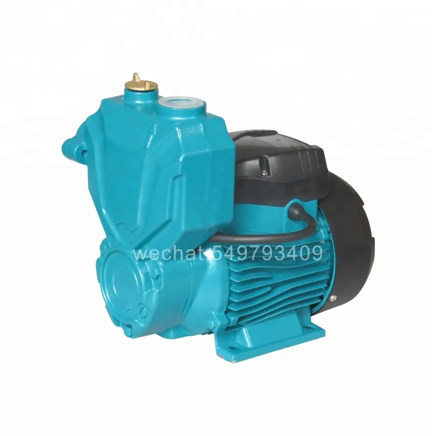 1WZN-45 0.75 HP lavatrice piccola acqua autoadescante pompa booster