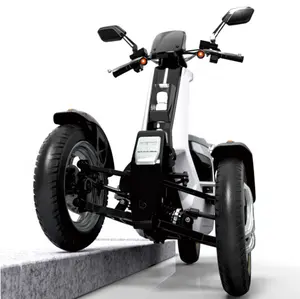 फैशनेबल इलेक्ट्रिक रिवर्स ईईसी के साथ Tricycle और 45kn/एच गति