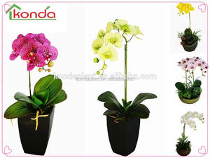 Новое поступление, индивидуальная цветная черная колба, искусственные орхидеи, цветы, растения для продажи - Product Image 2