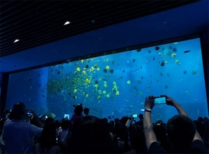 Grote Project Custom Acryl Aquarium/Clear Grote Vis Tank - Product Image 5