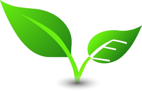 Qingdao Yijia Evergreen International Trade Co., Ltd. logo