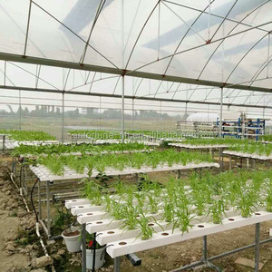 Casera sistema hidropónico de cultivo hidropónico de - Product Image 1