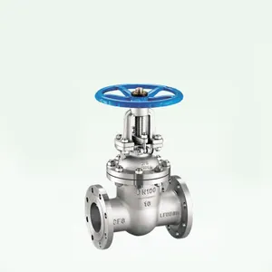 Gost/JIS/BS/DIN Double Flange Ductile Iron Resilient Wedge Gate Valves