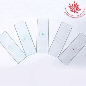 Zea May Feuille de racine de tige de maïs de maïs 7101 Lames préparées pour microscope à un seul article - Product Image 4