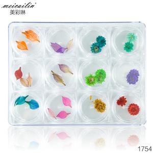 12 couleurs 3D Nail Art décoration vraie fleur séchée sèche - Product Image 2