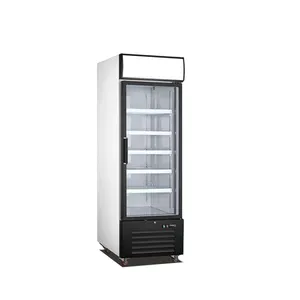 Congélateur à porte en verre simple Réfrigération commerciale 1 porte en verre Noir Merchandiser Réfrigérateur-23 Cu. Ft.