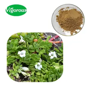 Ipa (Standard Europeo) bacopa monnieri estratto in polvere