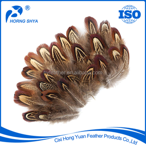 En gros <span class=keywords><strong>Pas</strong></span> <span class=keywords><strong>Cher</strong></span> Naturel et Coloré À <span class=keywords><strong>Collier</strong></span> de Queue de Faisan Plumes - Product Image 6