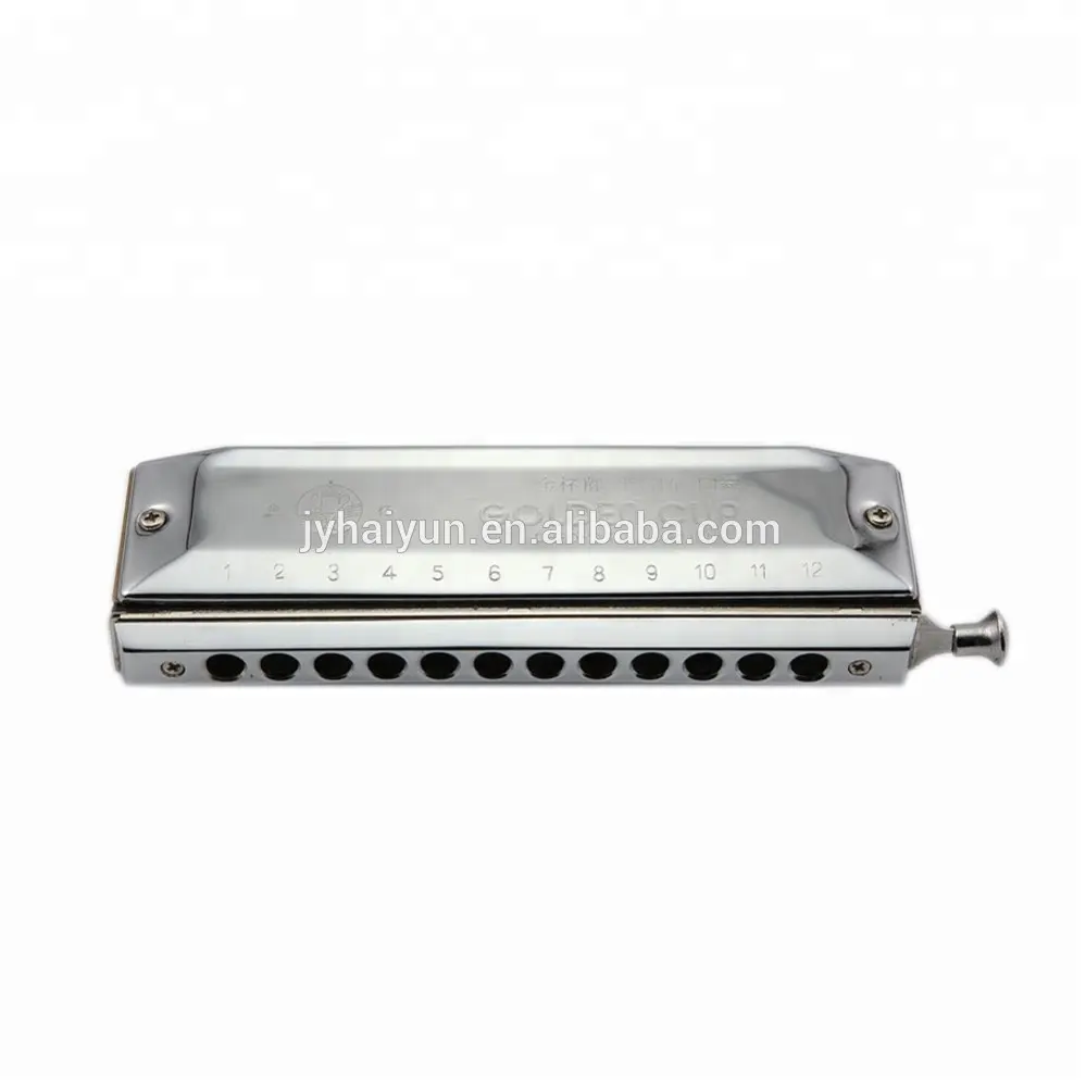 SEASOUND Oem Professinal 색채 12 홀 48 톤 Harmonica JH1248